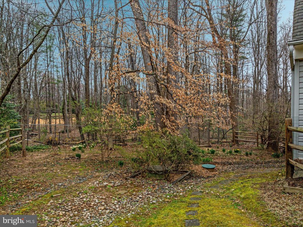 12212 ROWAN TREE DRIVE