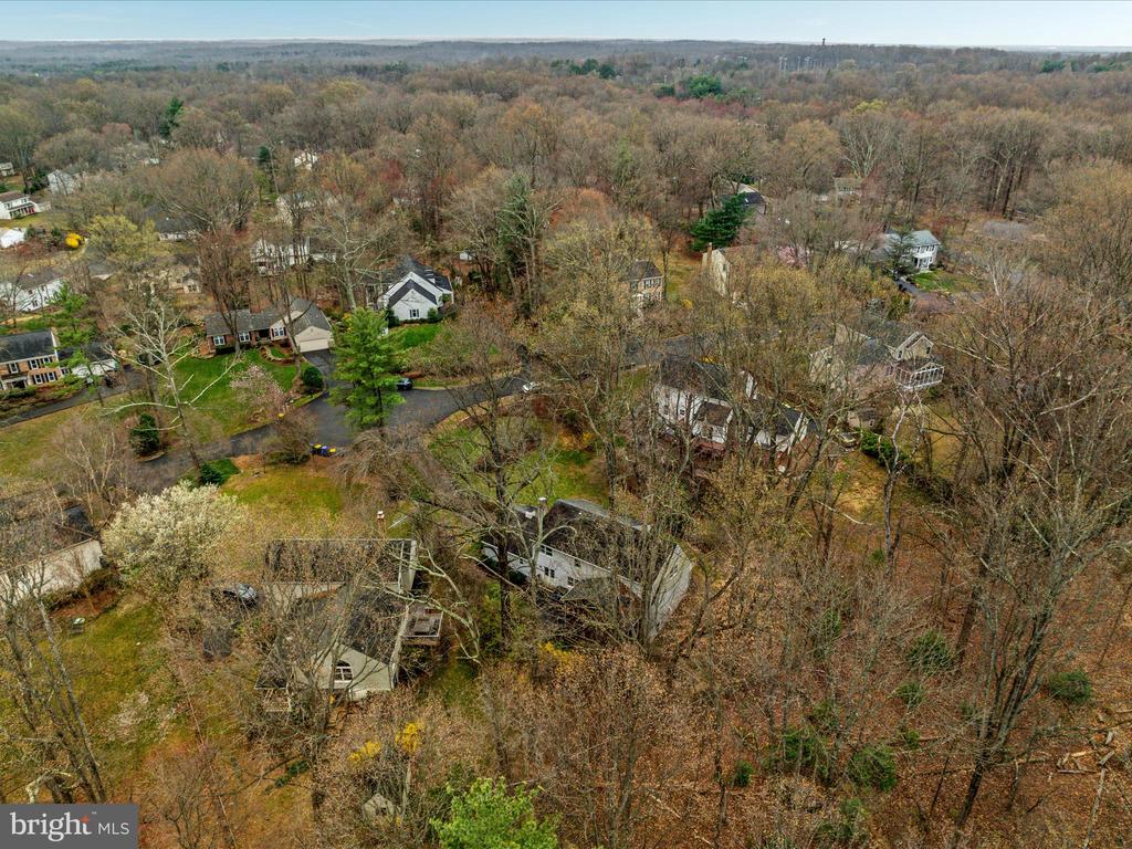 12212 ROWAN TREE DRIVE