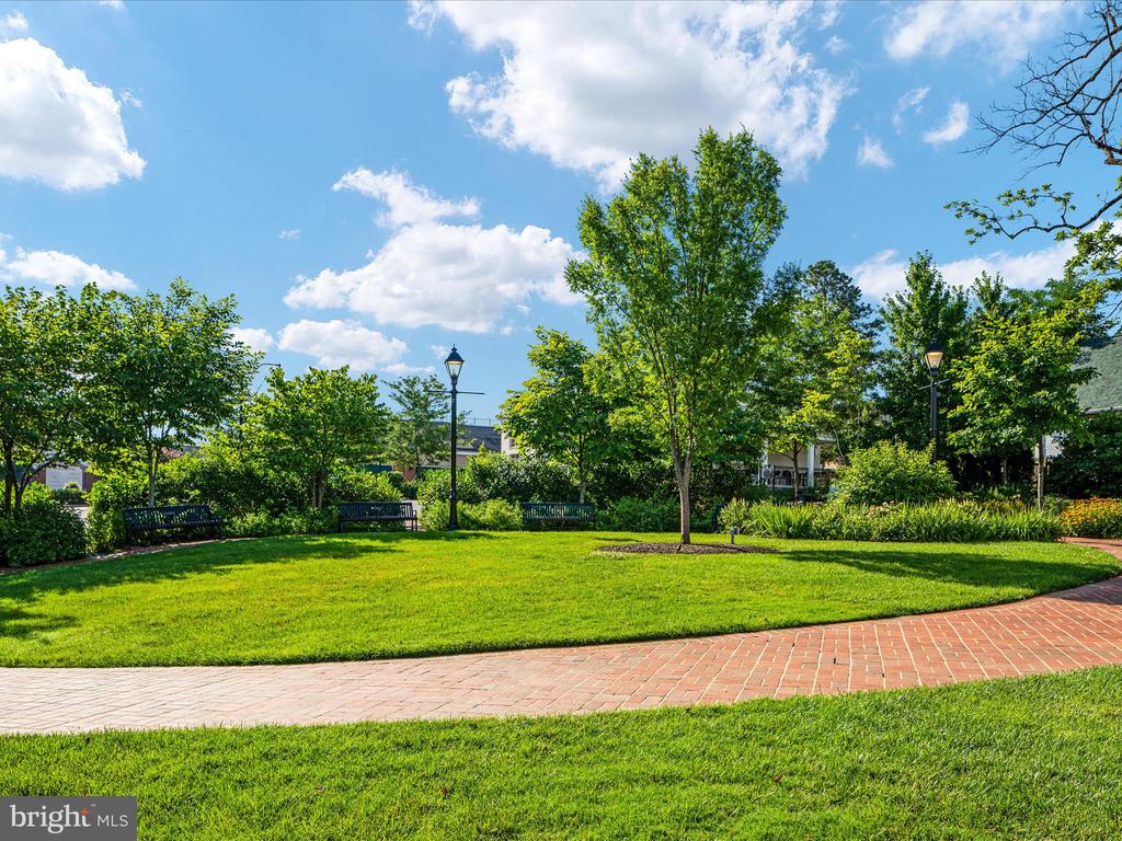 12212 ROWAN TREE DRIVE