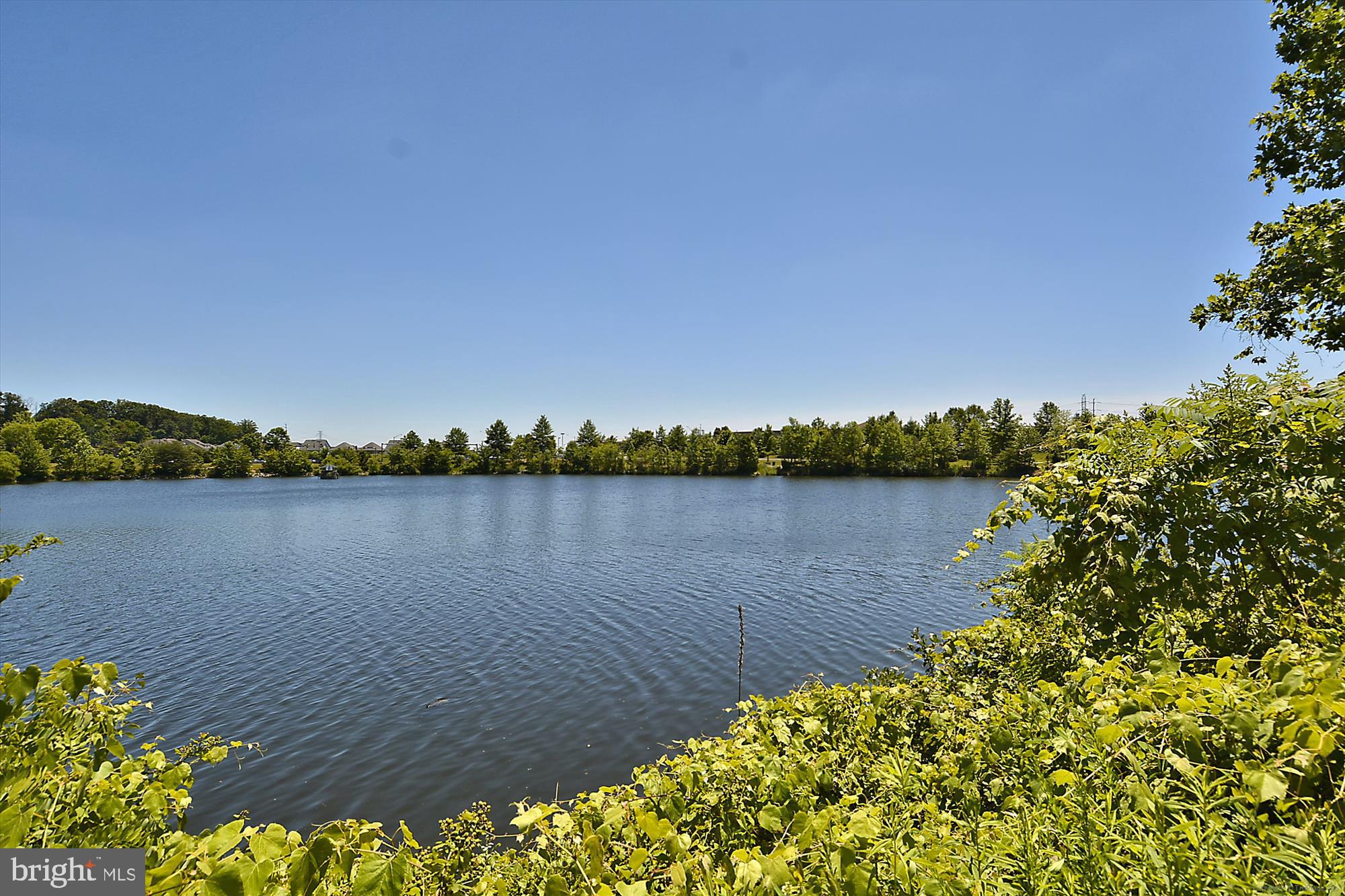 7436 COLLINS MEADE