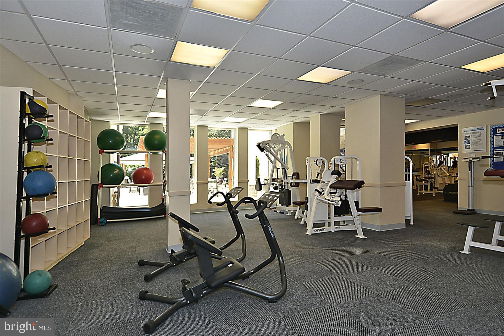 7436 COLLINS MEADE