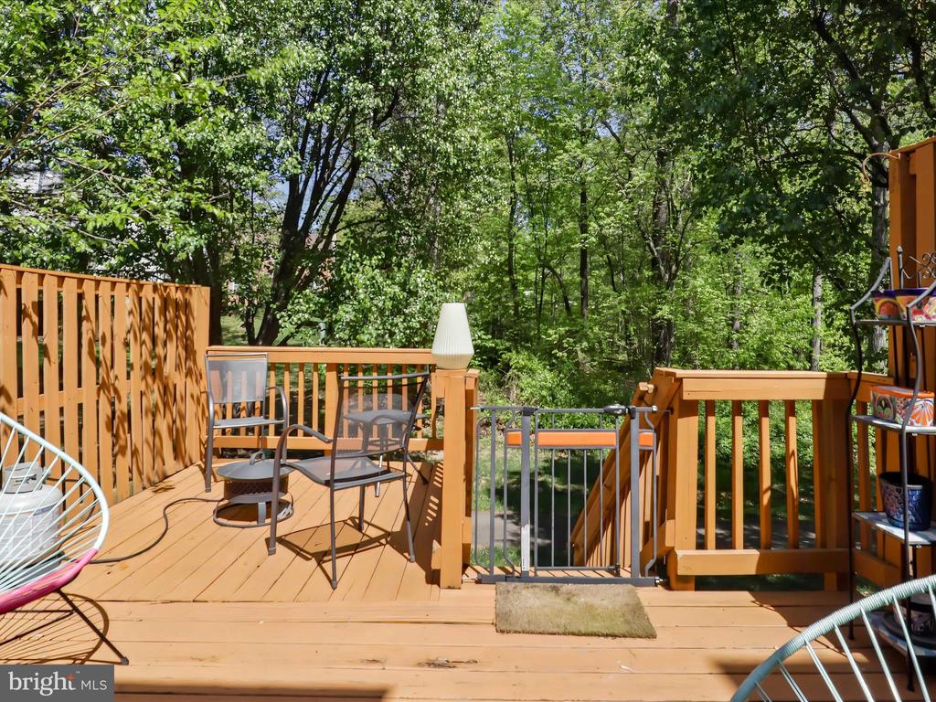 12516 FANLEAF COURT