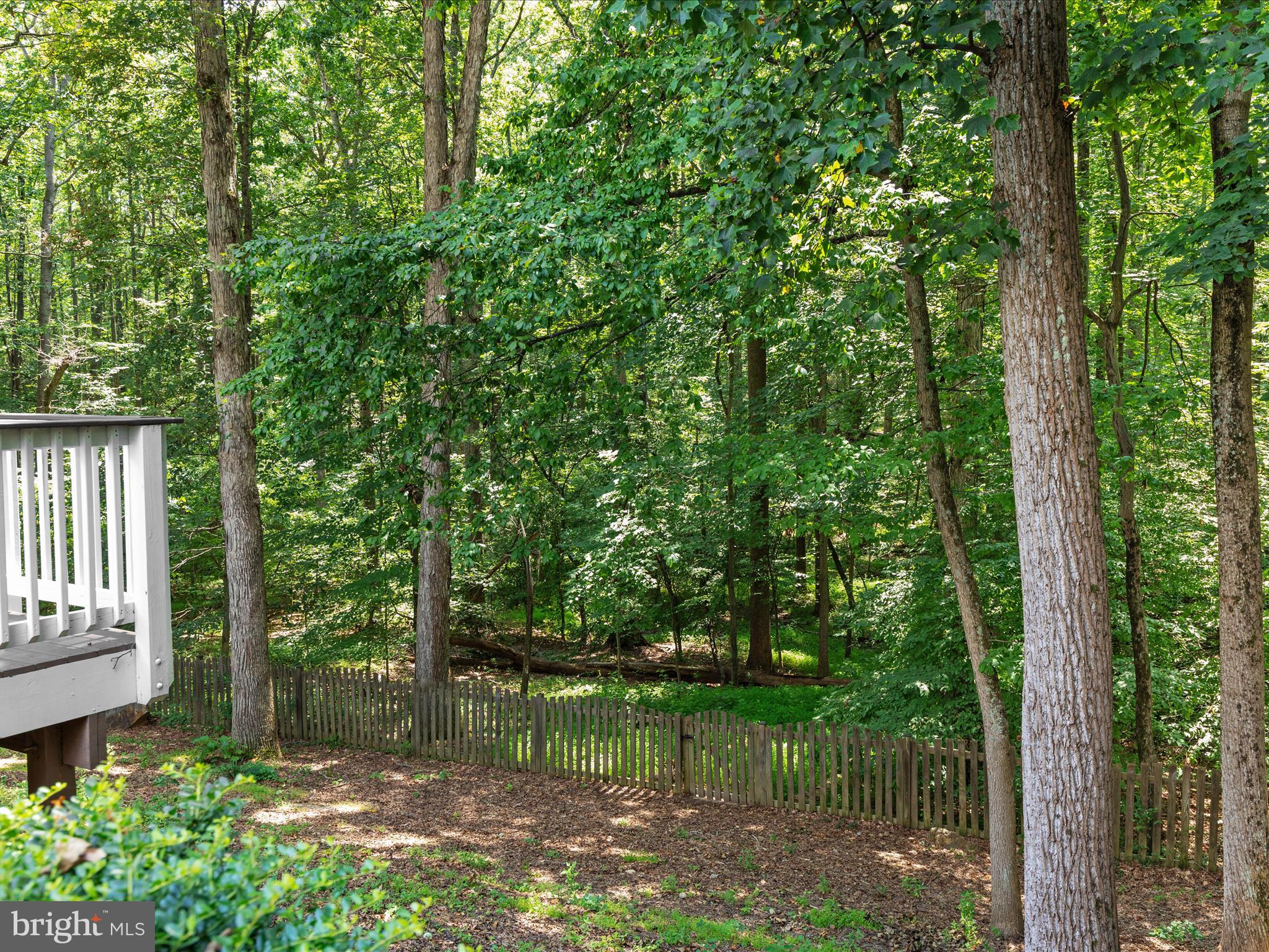 8490 MAGIC TREE COURT
