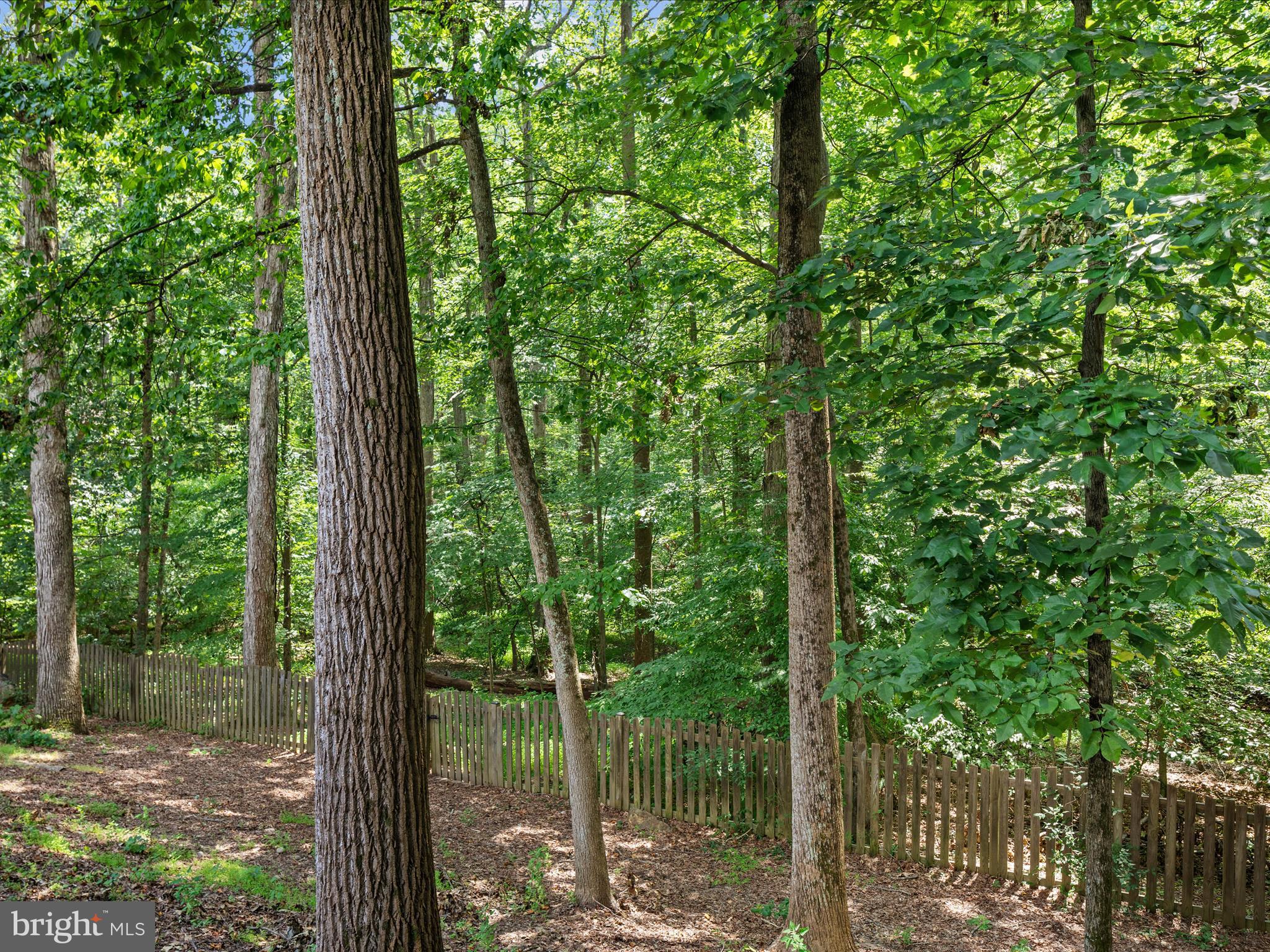 8490 MAGIC TREE COURT
