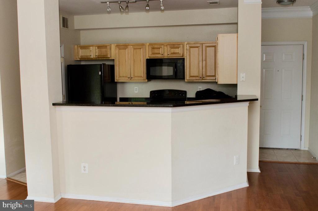 1530 SPRING GATE DRIVE 9104