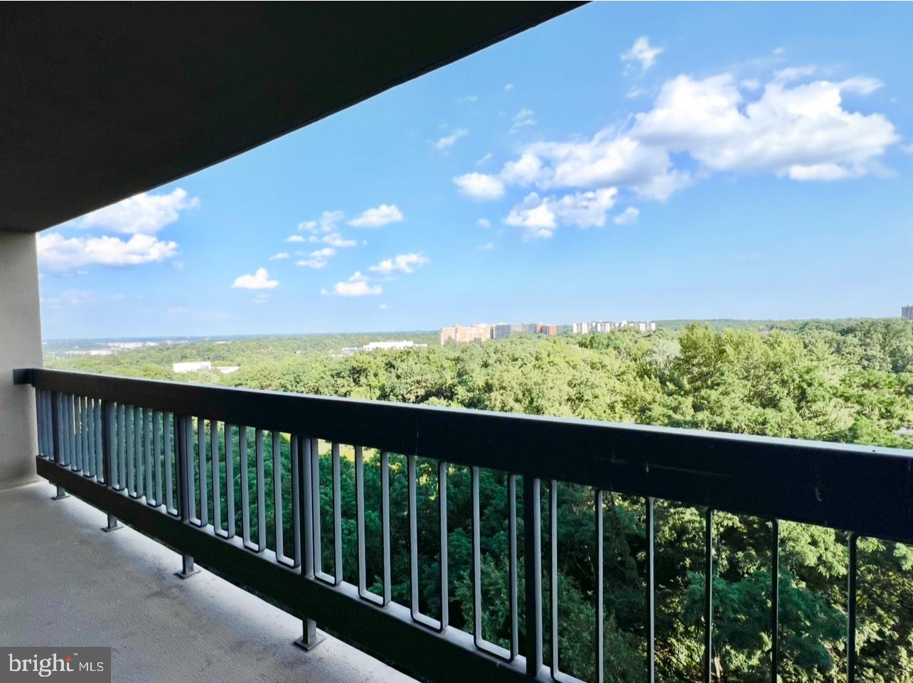 3705 S GEORGE MASON DRIVE 910S