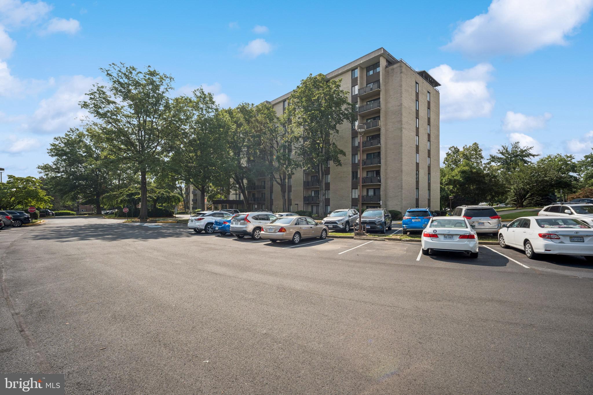 6001 ARLINGTON BOULEVARD 313