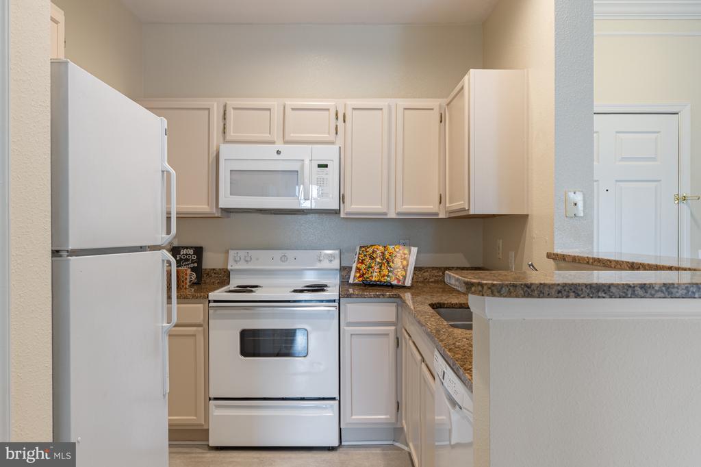 1591 SPRING GATE DRIVE 3210