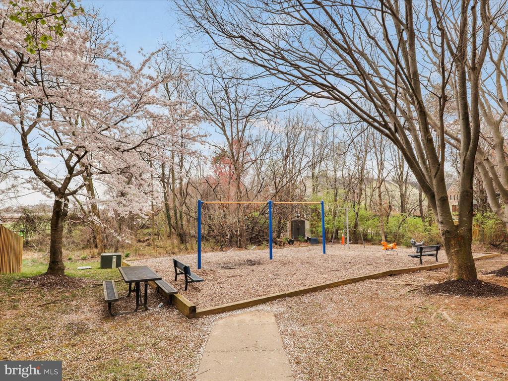 2012 PIERIS COURT