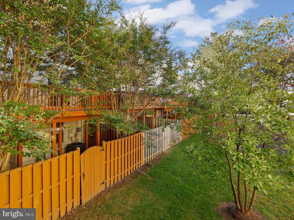 2012 PIERIS COURT