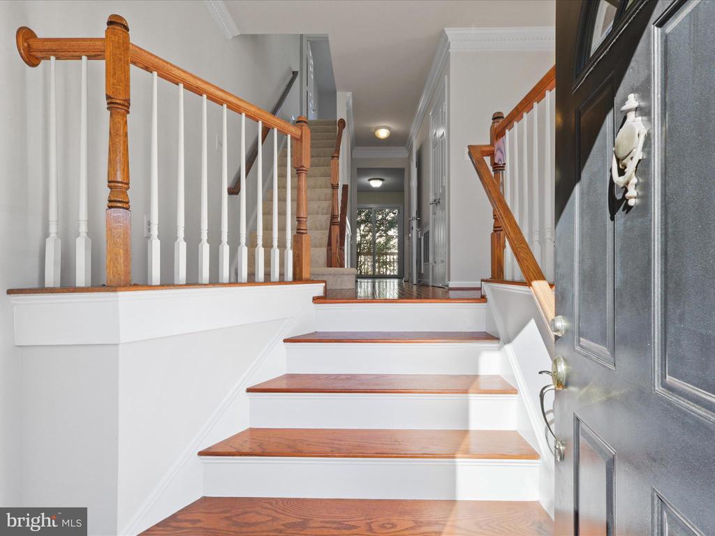 2012 PIERIS COURT