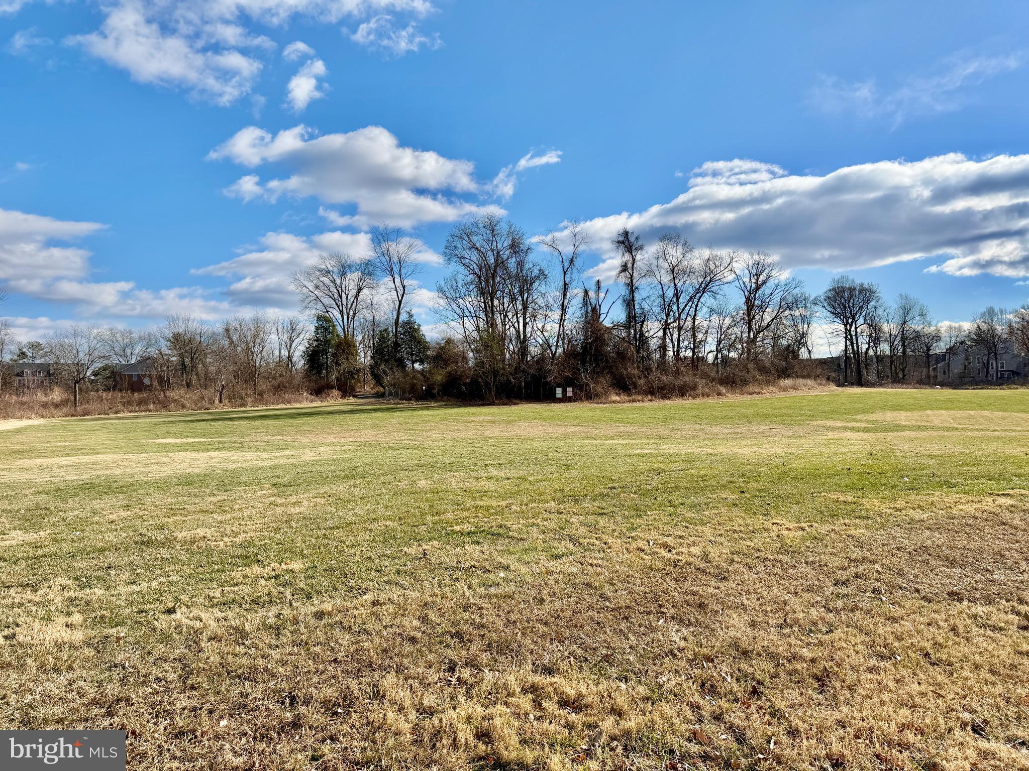 10145 VILLAGE KNOLLS COURT