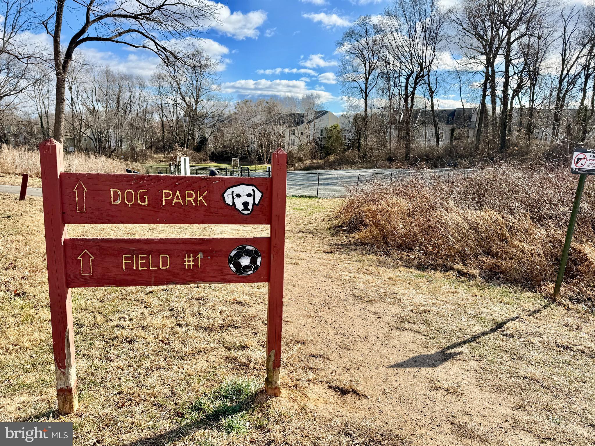 10145 VILLAGE KNOLLS COURT