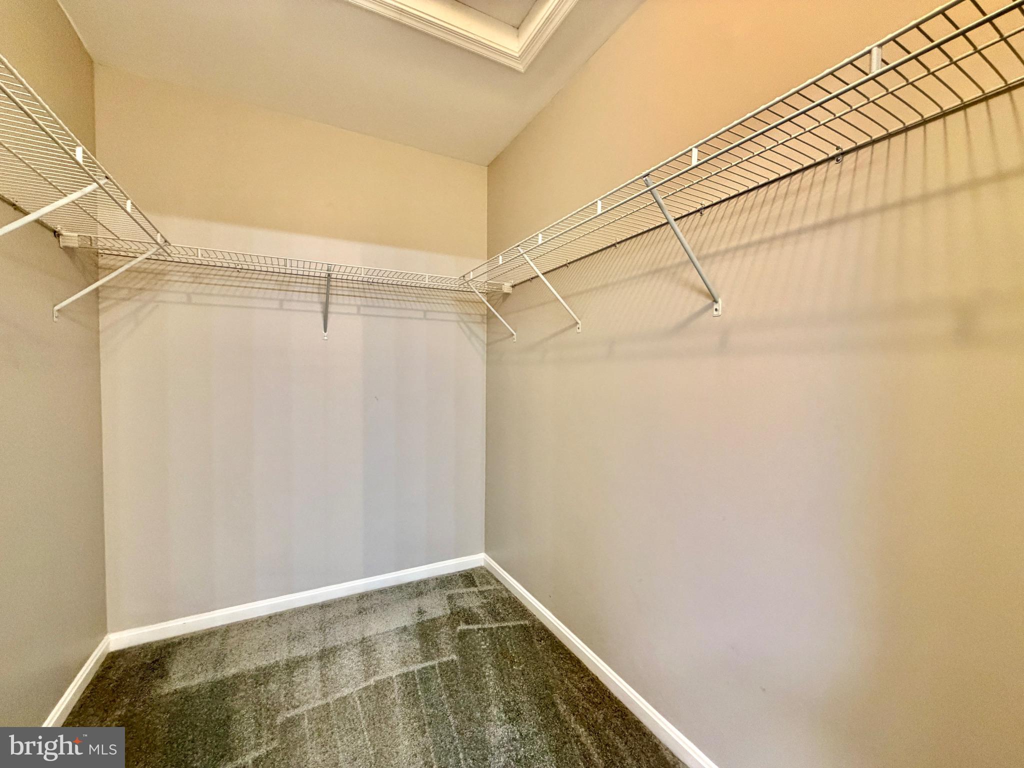 10145 VILLAGE KNOLLS COURT