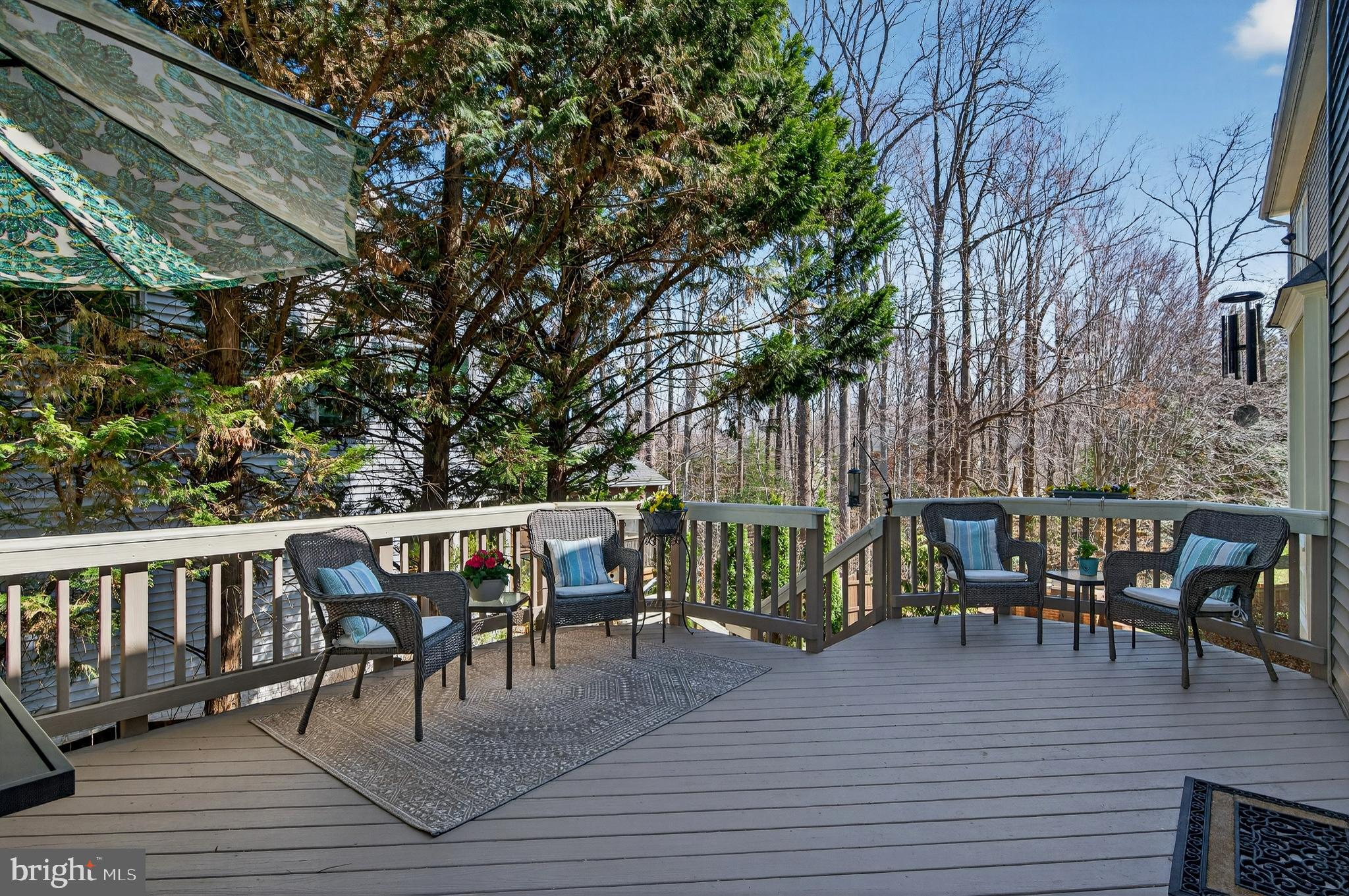 9722 BRAIDED MANE COURT