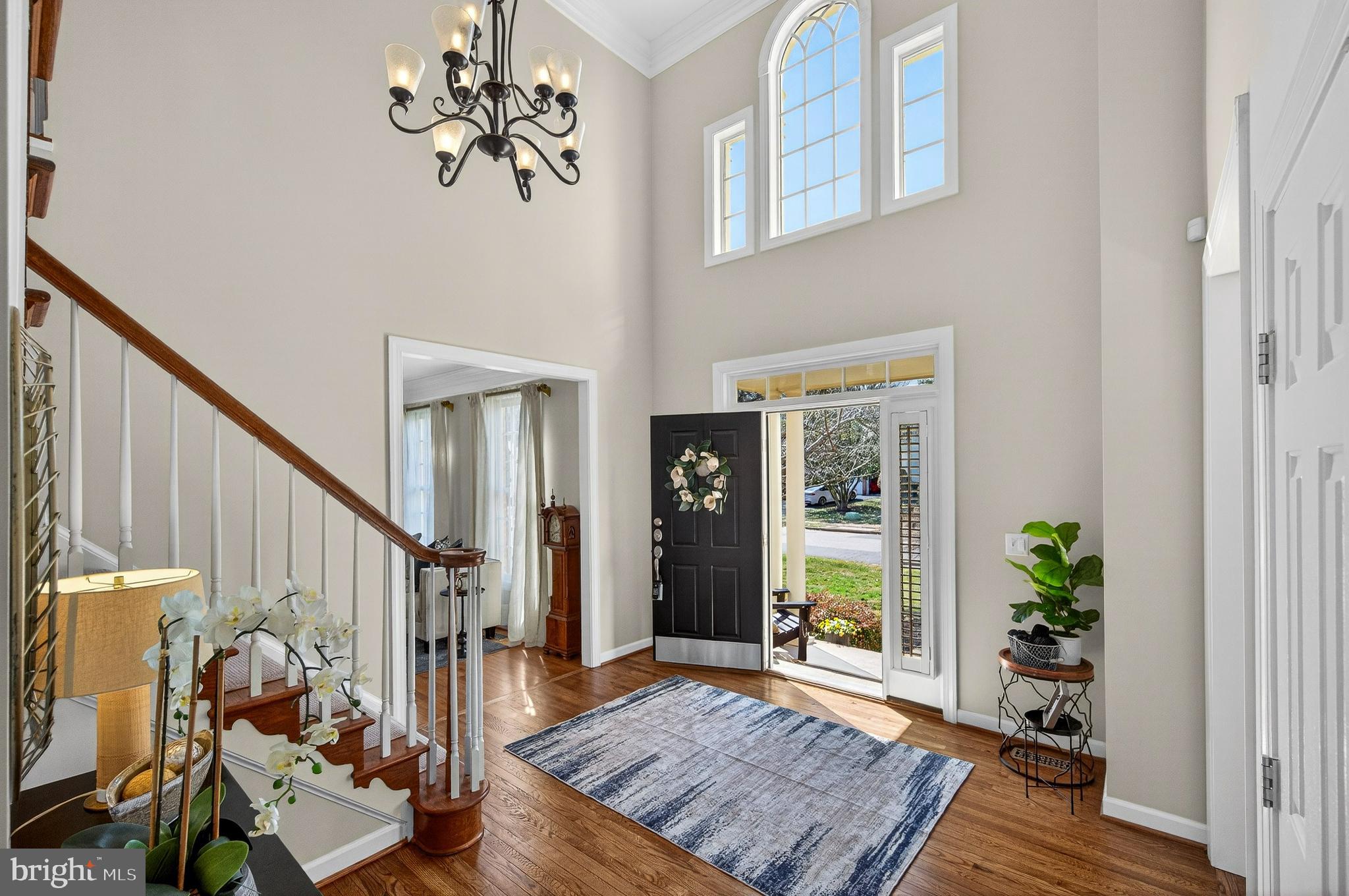 9722 BRAIDED MANE COURT