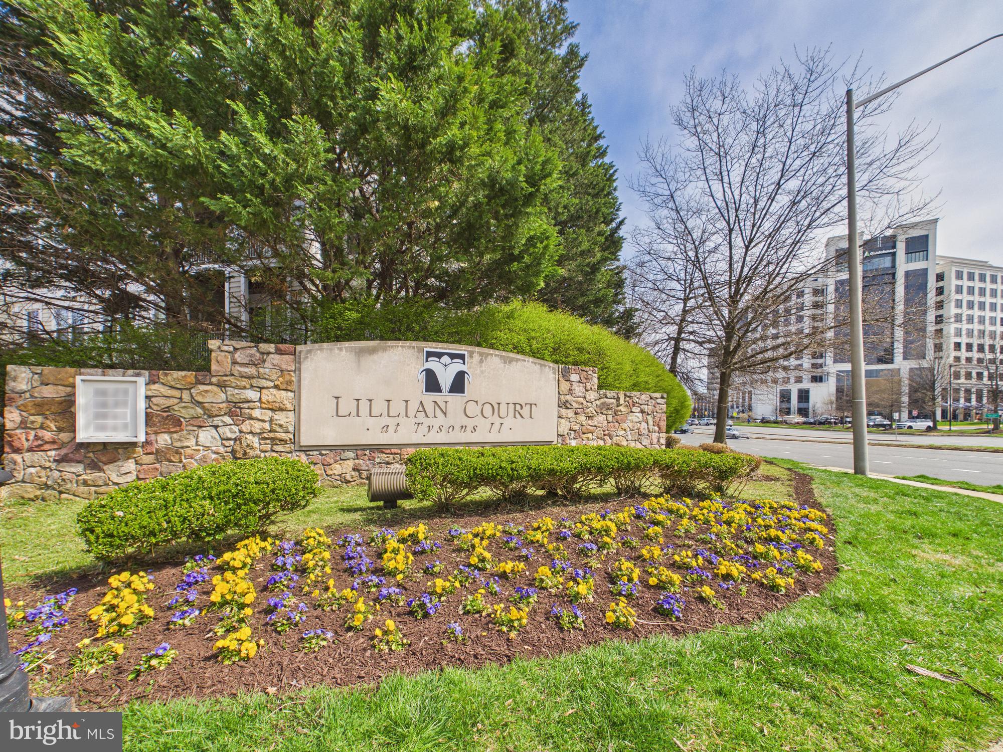 1645 INTERNATIONAL DRIVE TH-18