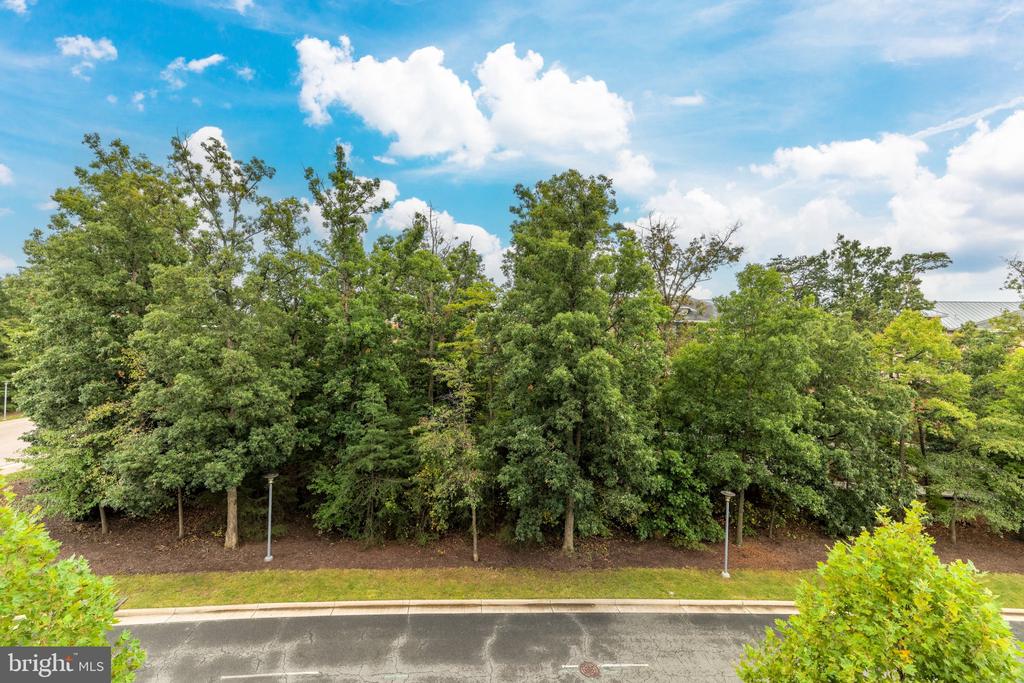 13036 HATTONTOWN SQUARE