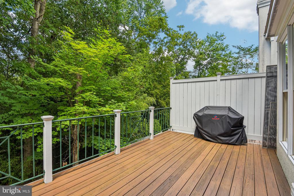 4014 DOGBERRY LANE