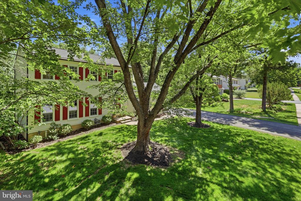 2412 ROSEDOWN DRIVE