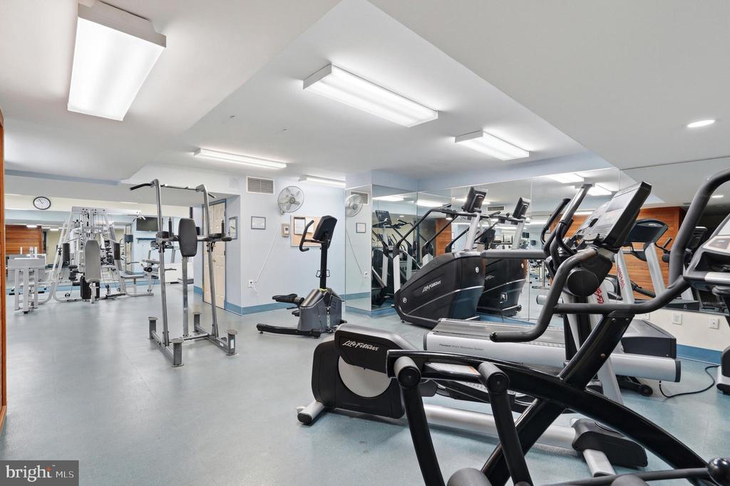 3705 S GEORGE MASON DRIVE Unit: 1203S