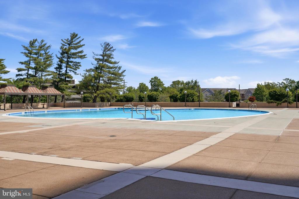 3705 S GEORGE MASON DRIVE Unit: 1203S