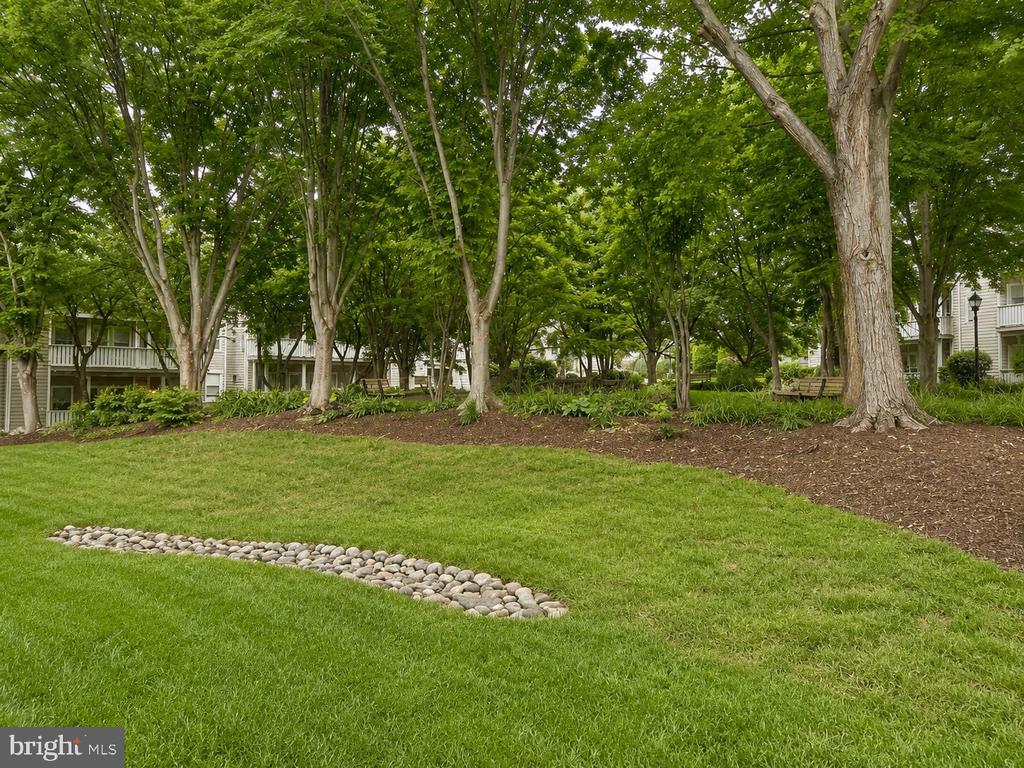 14314 CLIMBING ROSE WAY Unit: 102