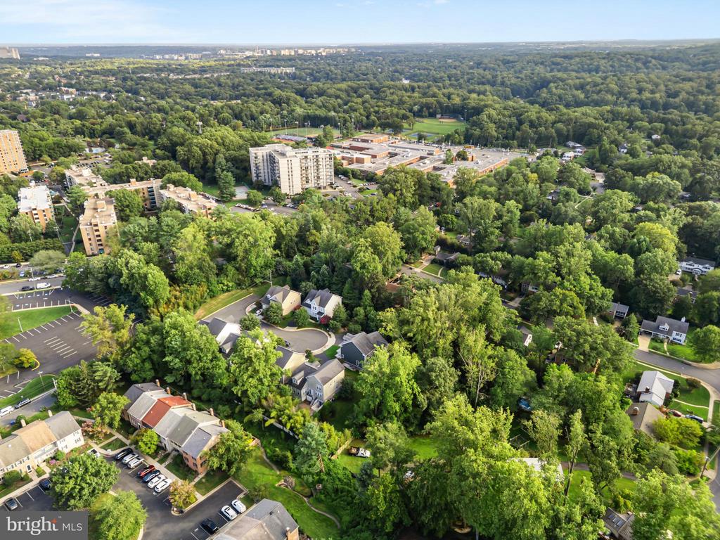 6203 CHAMPION OAK COURT