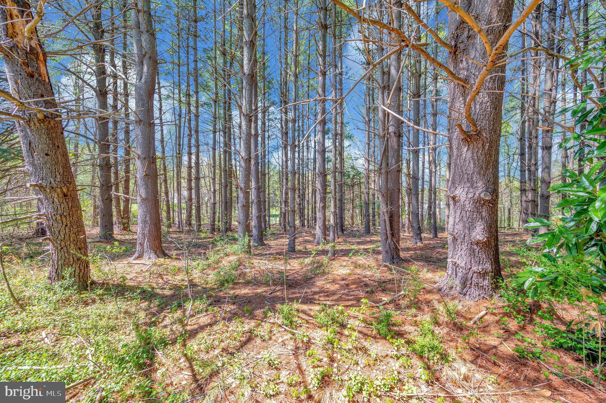 1379 WILLIAMS FARM ROAD