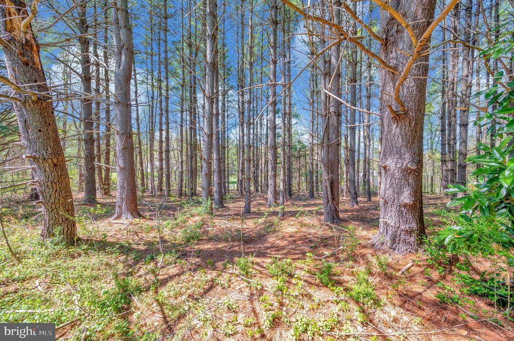 1379 WILLIAMS FARM ROAD