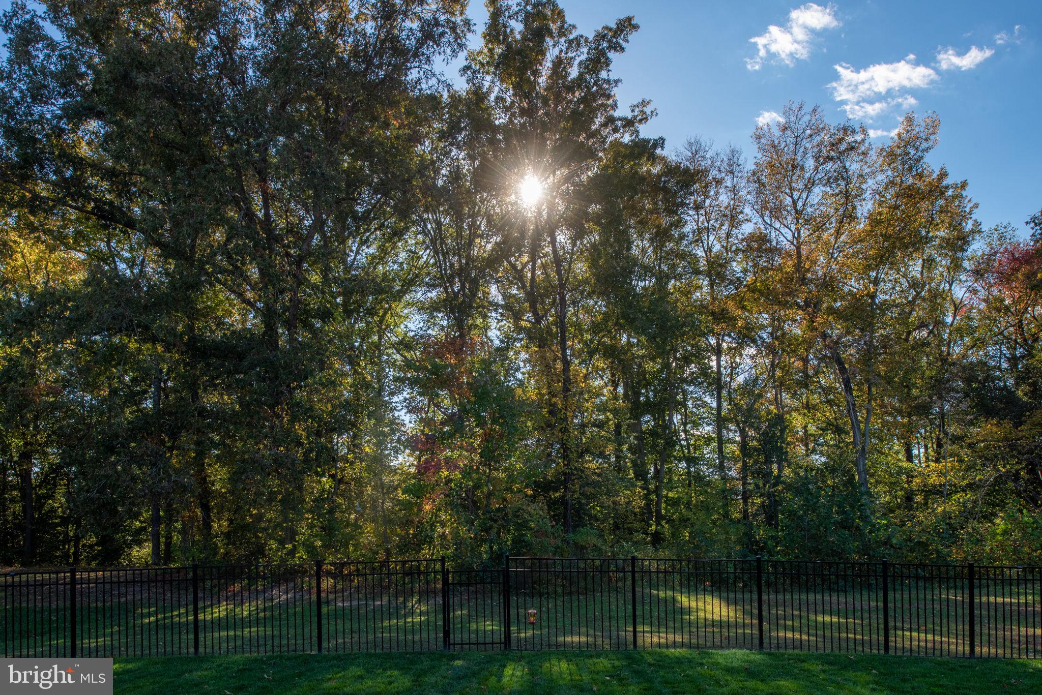 6276 BOBCAT LANE