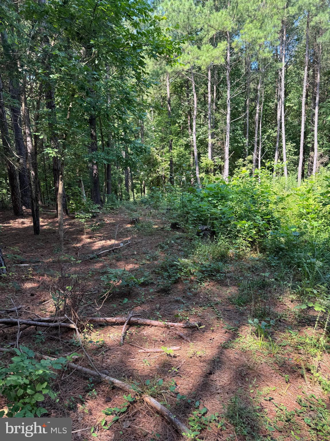 Lot 53 DAYS BRIDGE RD.