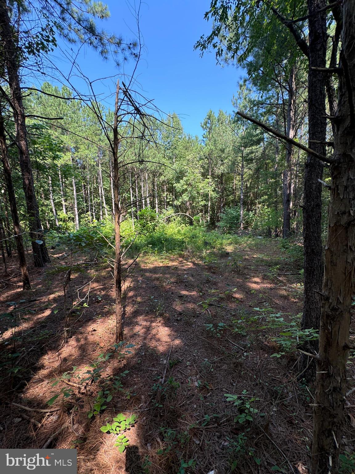 Lot 53 DAYS BRIDGE RD.