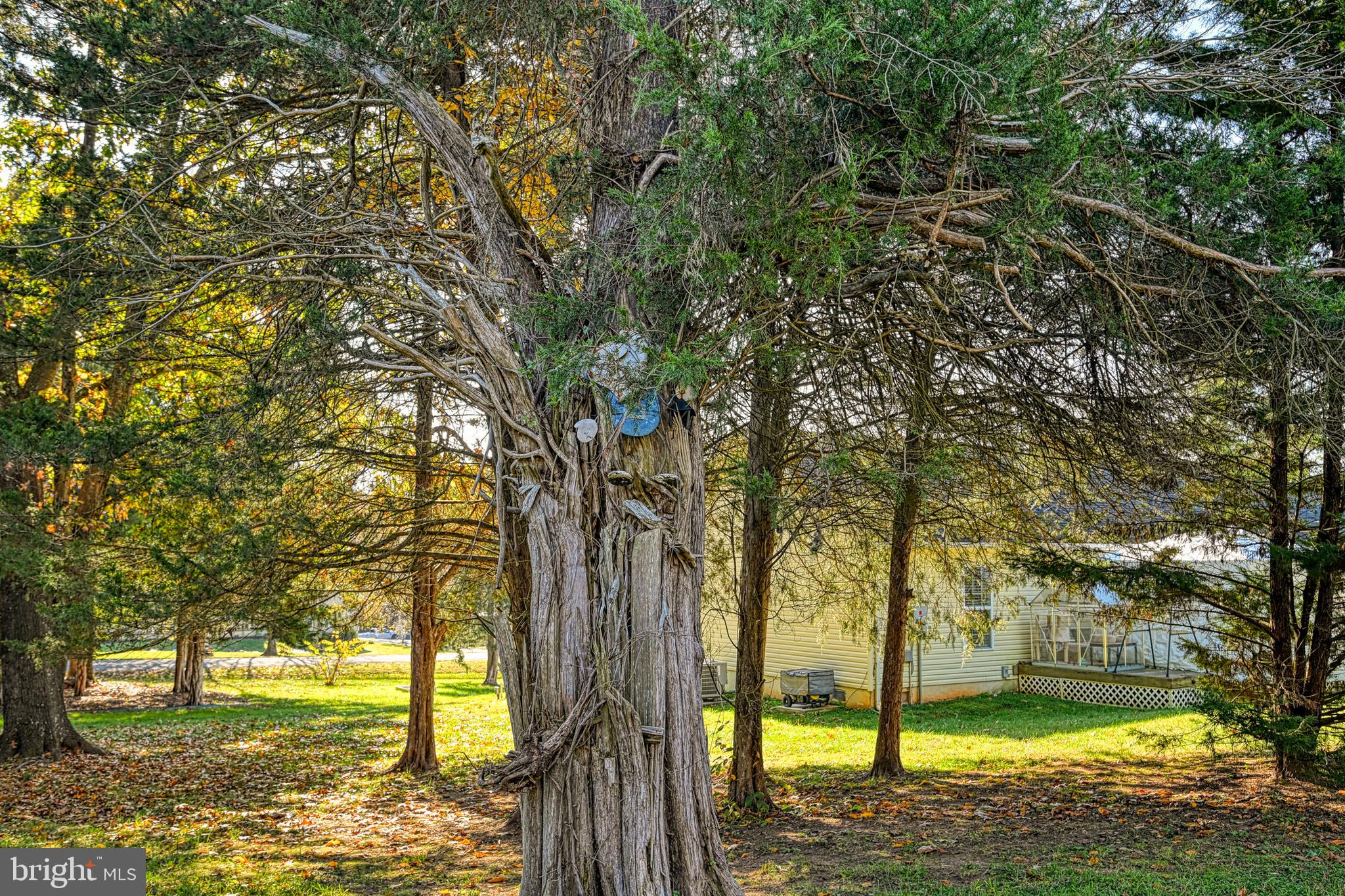 356 MOUNTAIN VIEW