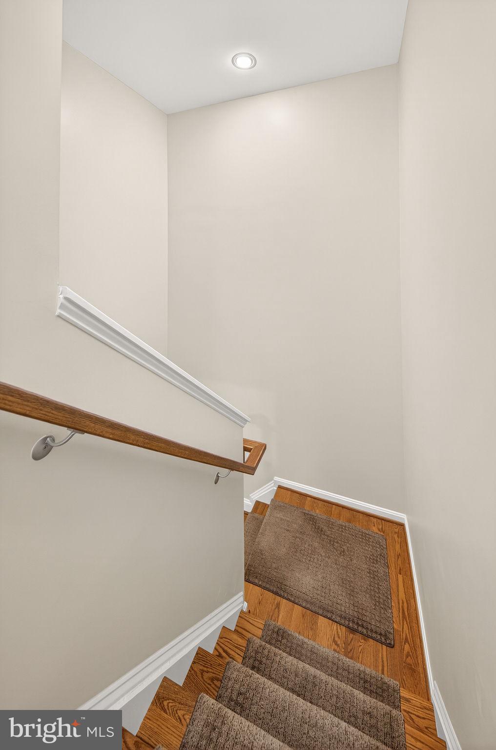 23394 EVENING PRIMROSE SQUARE