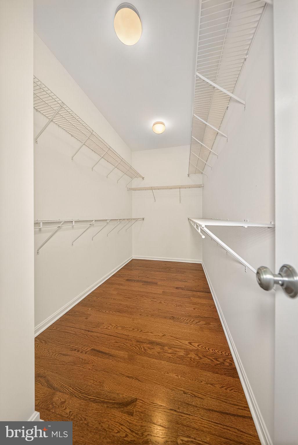 23394 EVENING PRIMROSE SQUARE