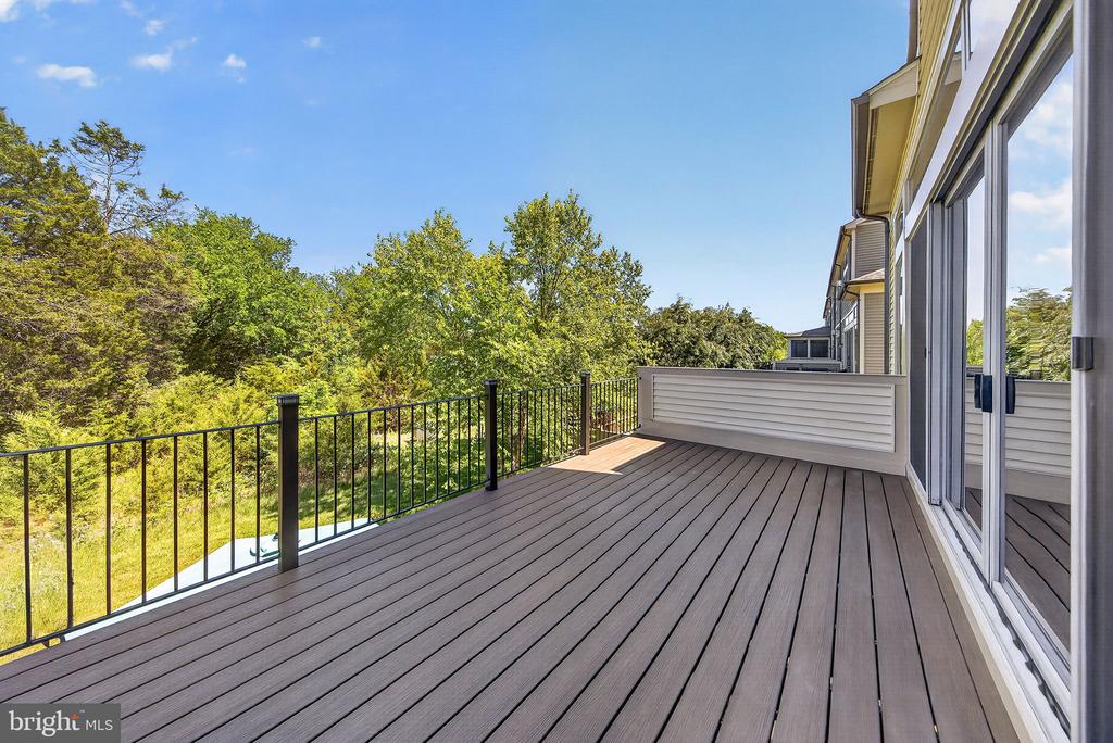 23394 EVENING PRIMROSE SQUARE