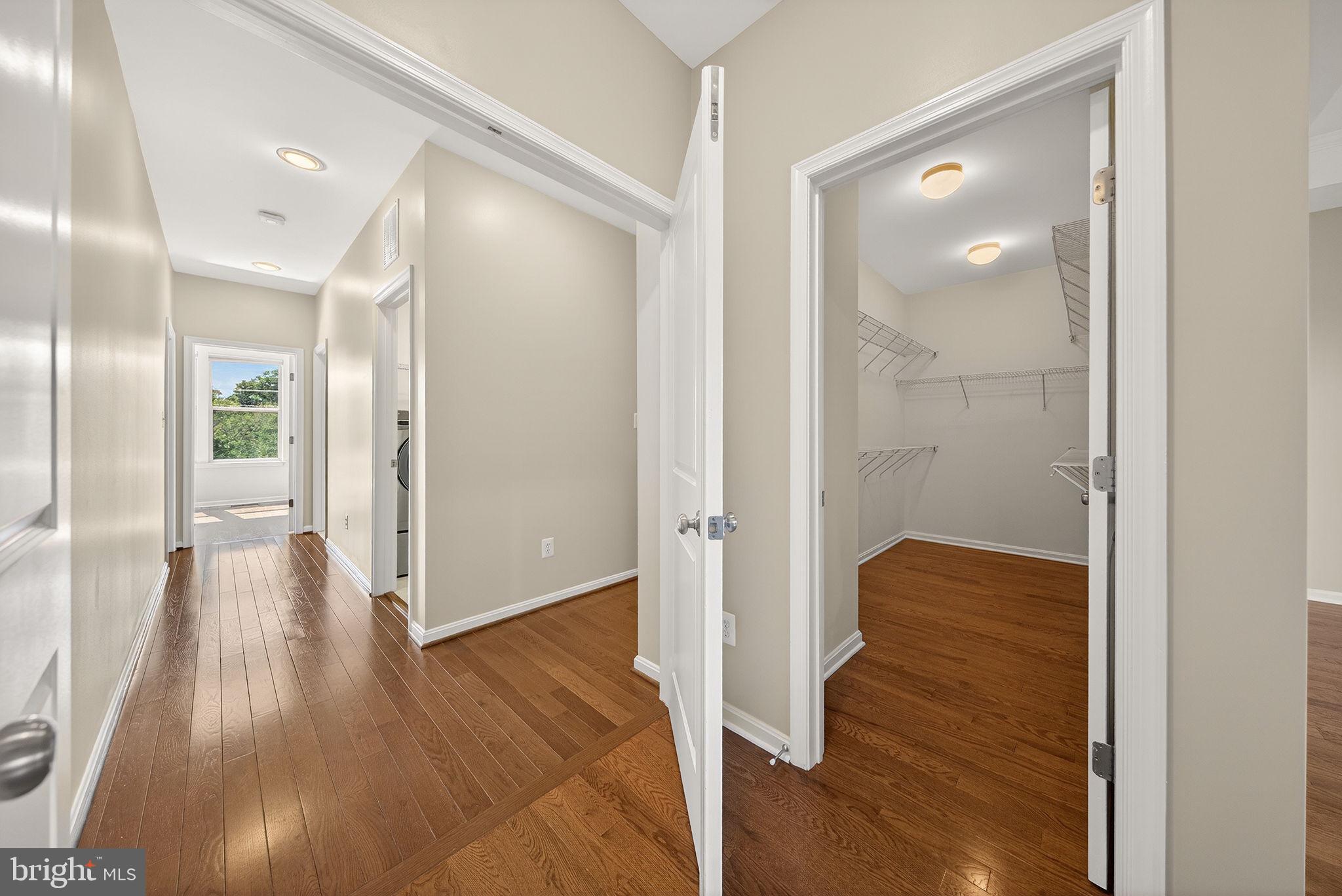 23394 EVENING PRIMROSE SQUARE