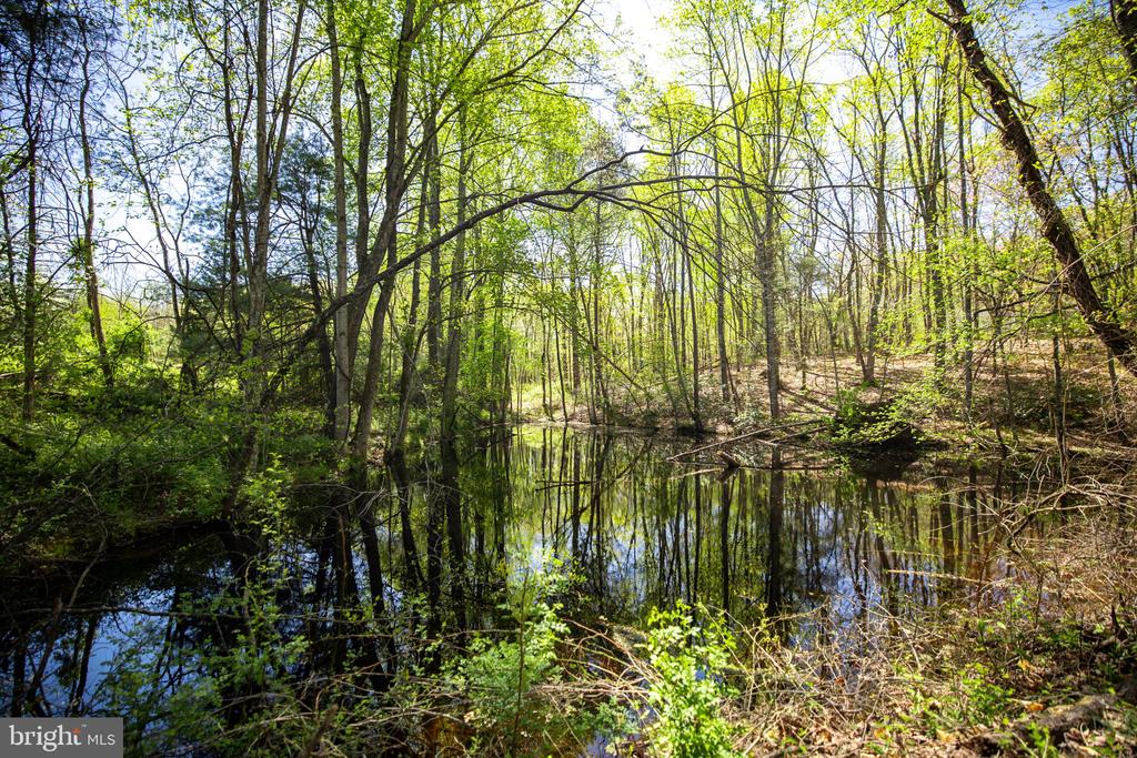 2905 TWYMANS MILL ROAD