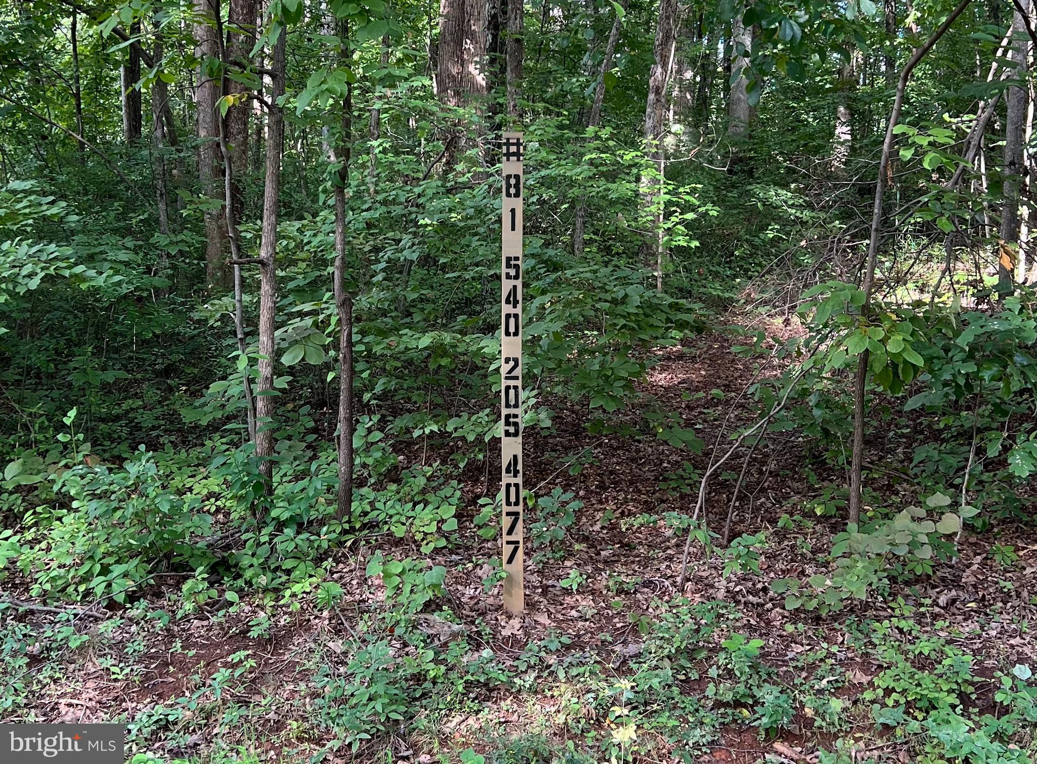 406 WILDERNESS DRIVE