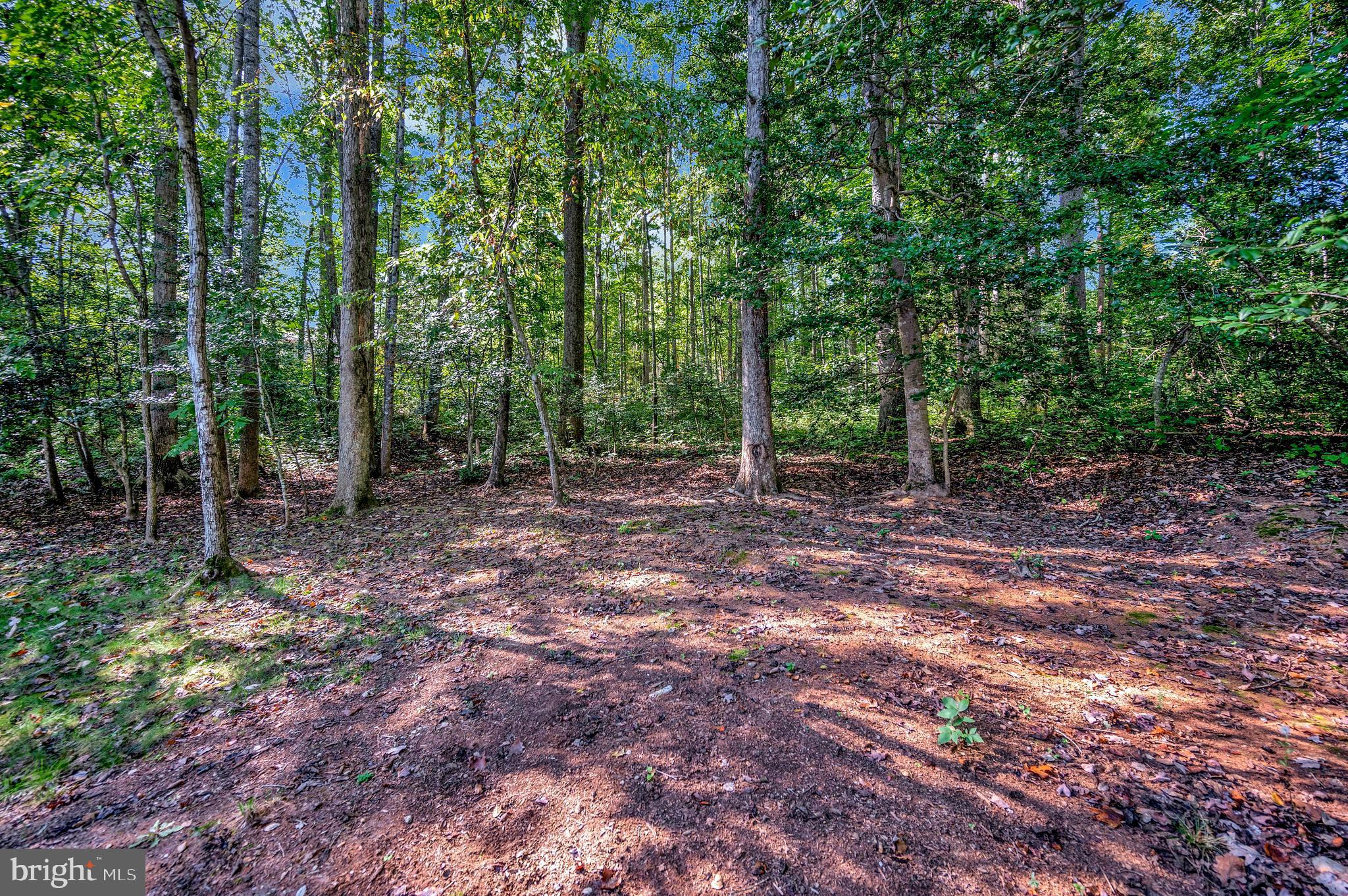 216 BATTLEFIELD ROAD