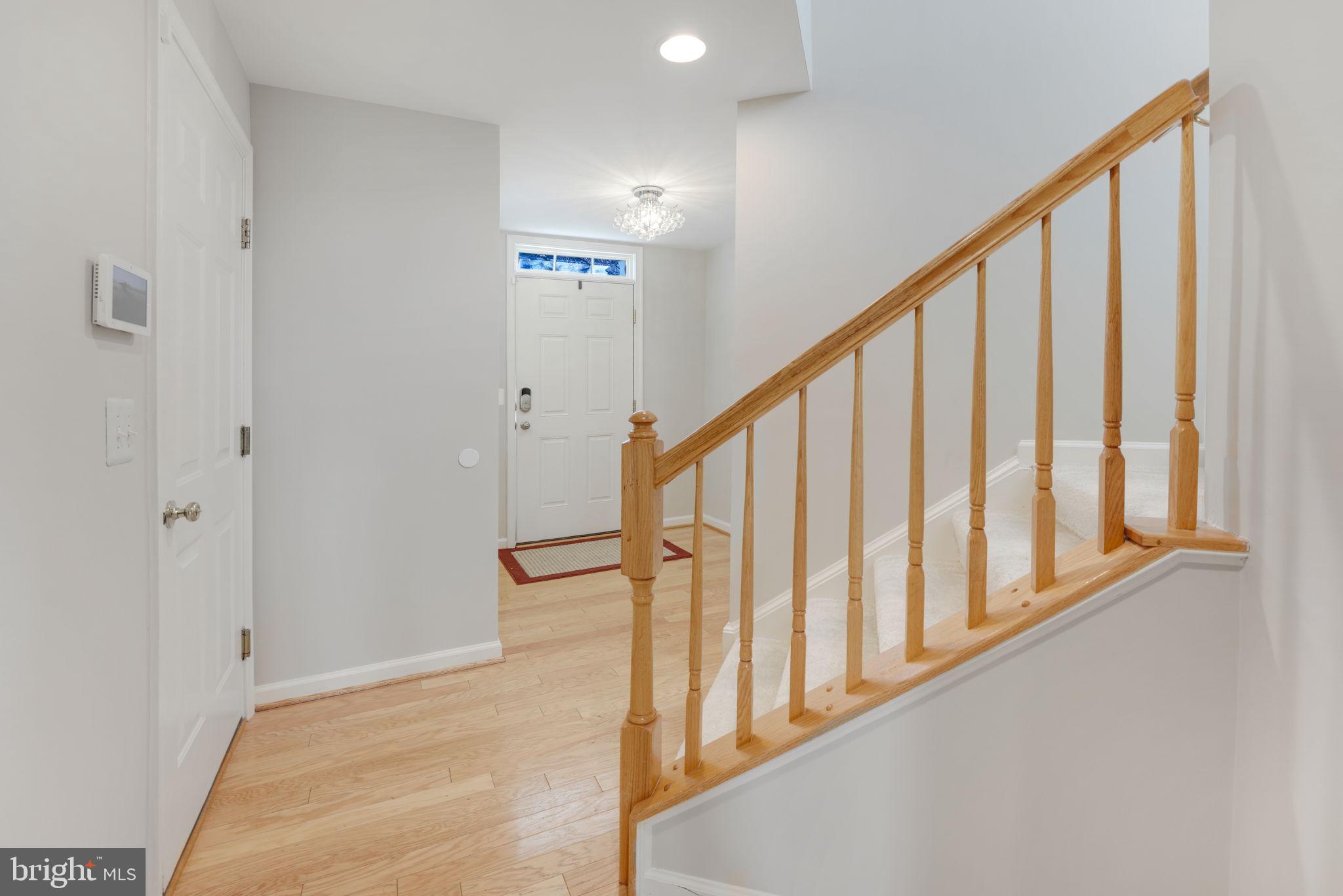 15976 CANADA GOOSE LOOP