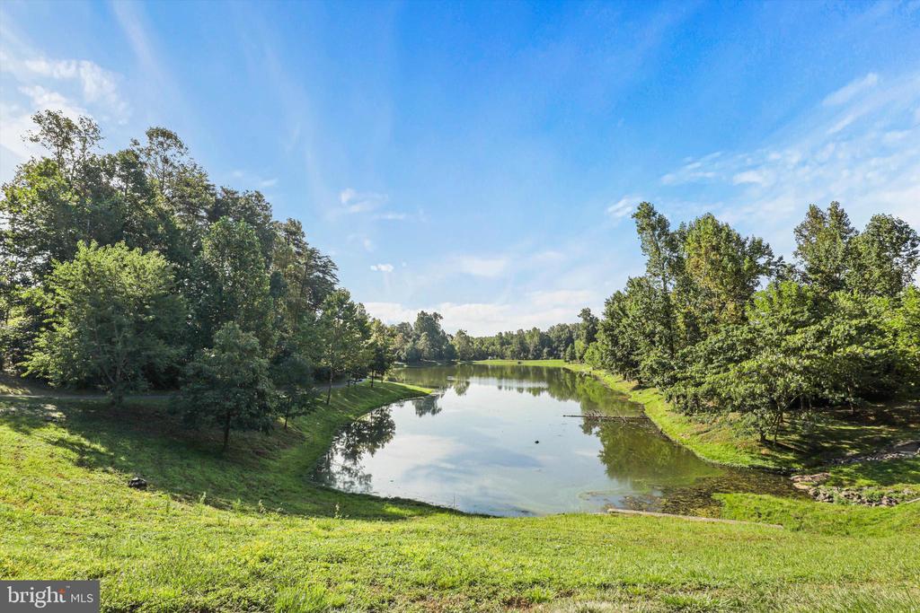 5099 LEATHERBACK ROAD