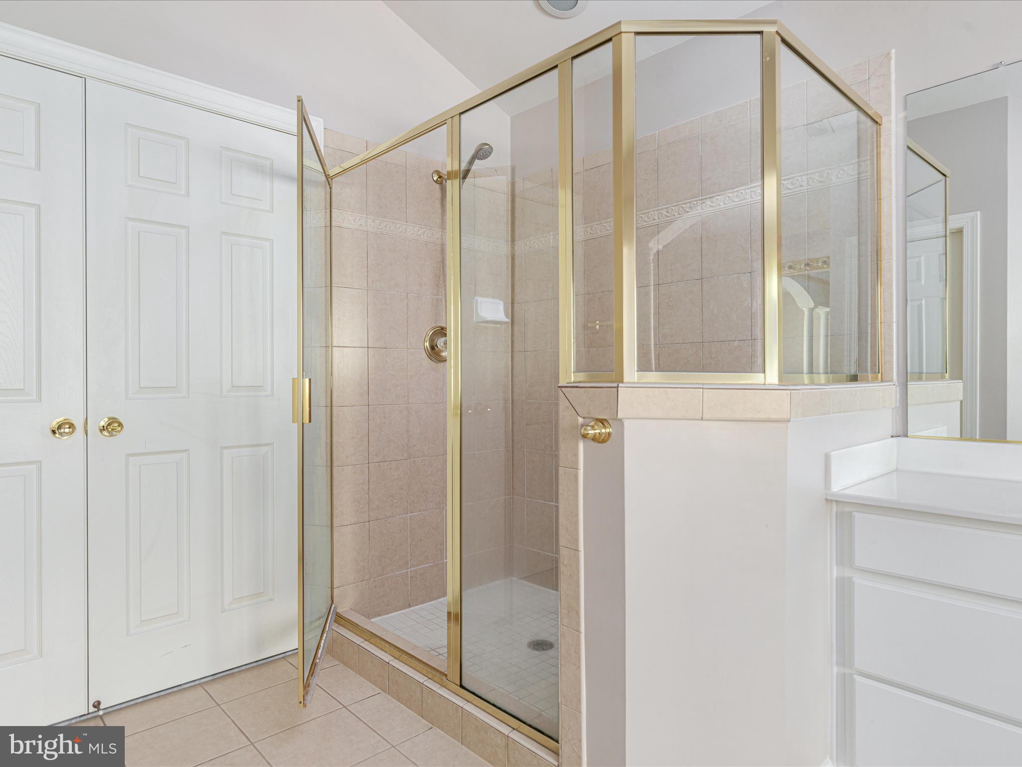 10117 CARLINGTON VALLEY COURT