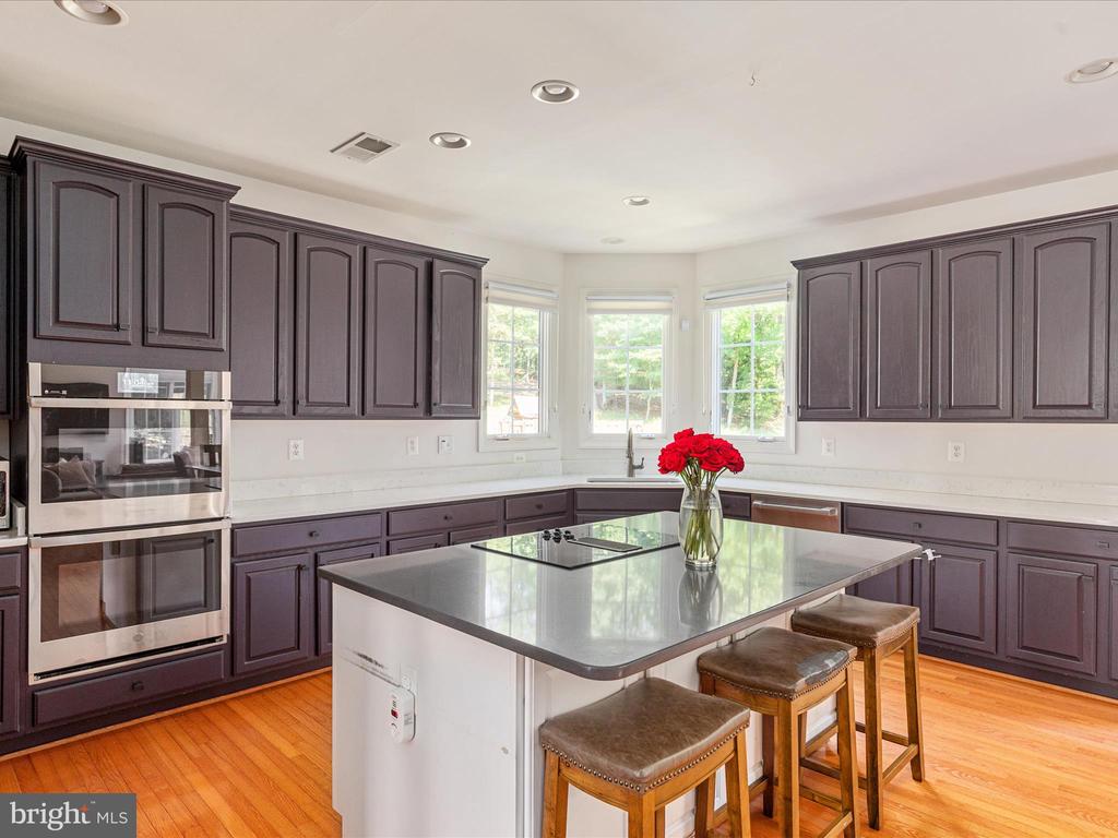 10117 CARLINGTON VALLEY COURT