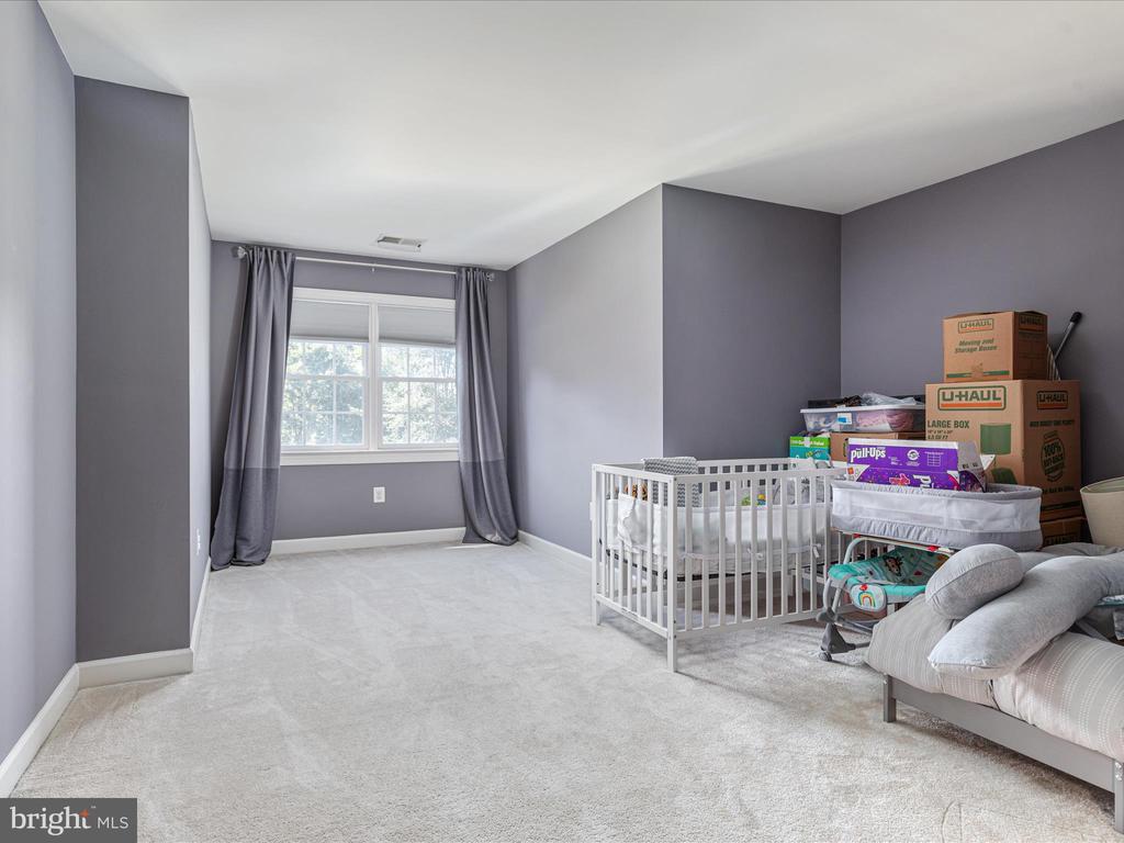 10117 CARLINGTON VALLEY COURT
