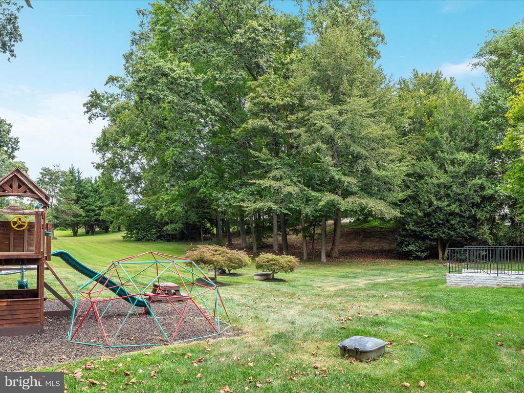 10117 CARLINGTON VALLEY COURT