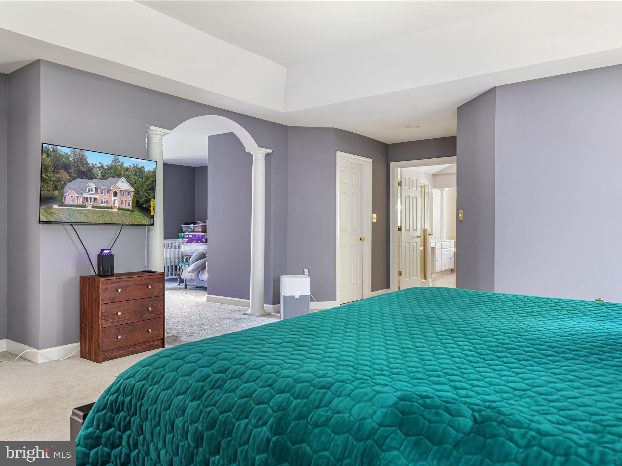 10117 CARLINGTON VALLEY COURT