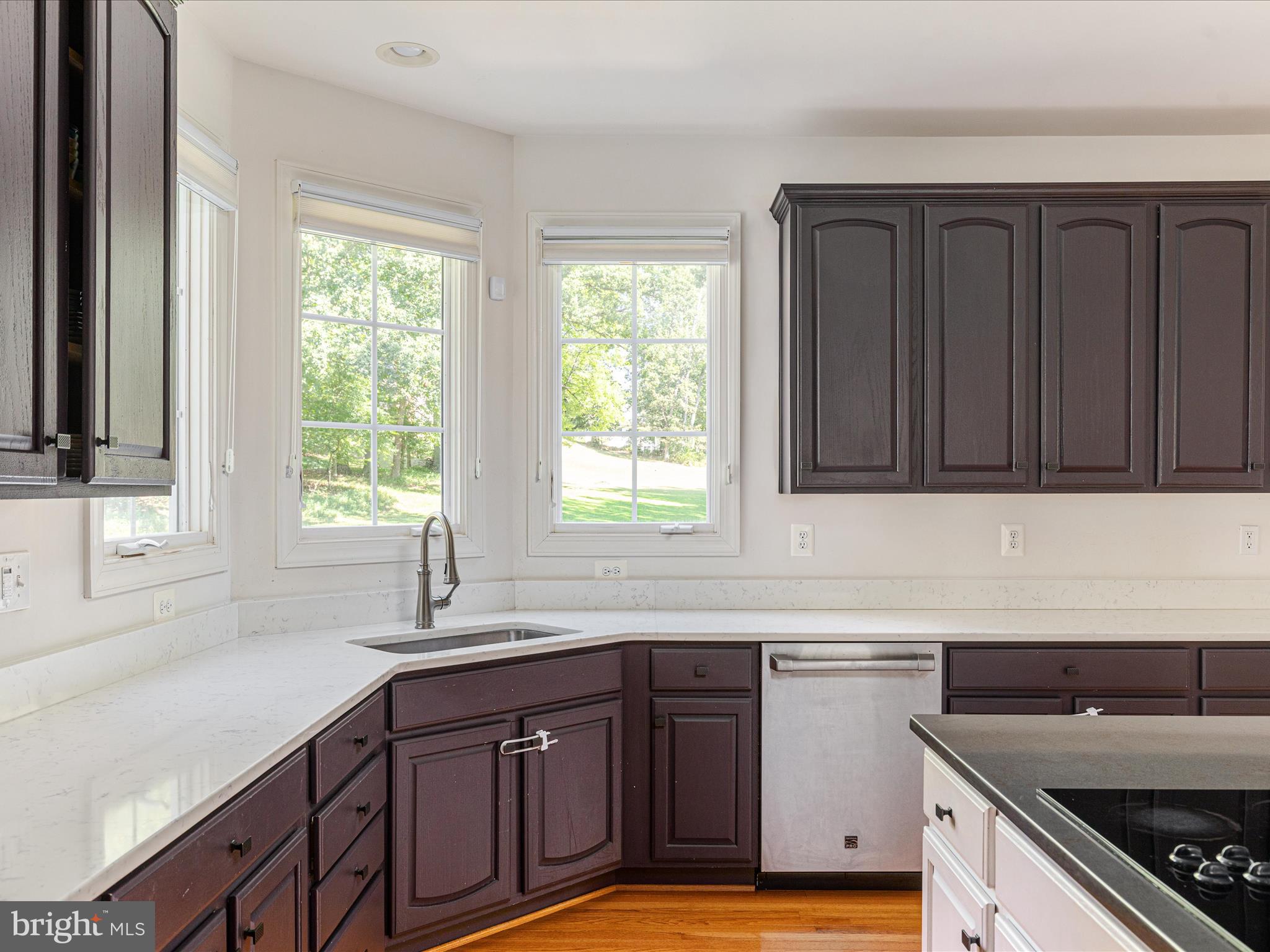 10117 CARLINGTON VALLEY COURT