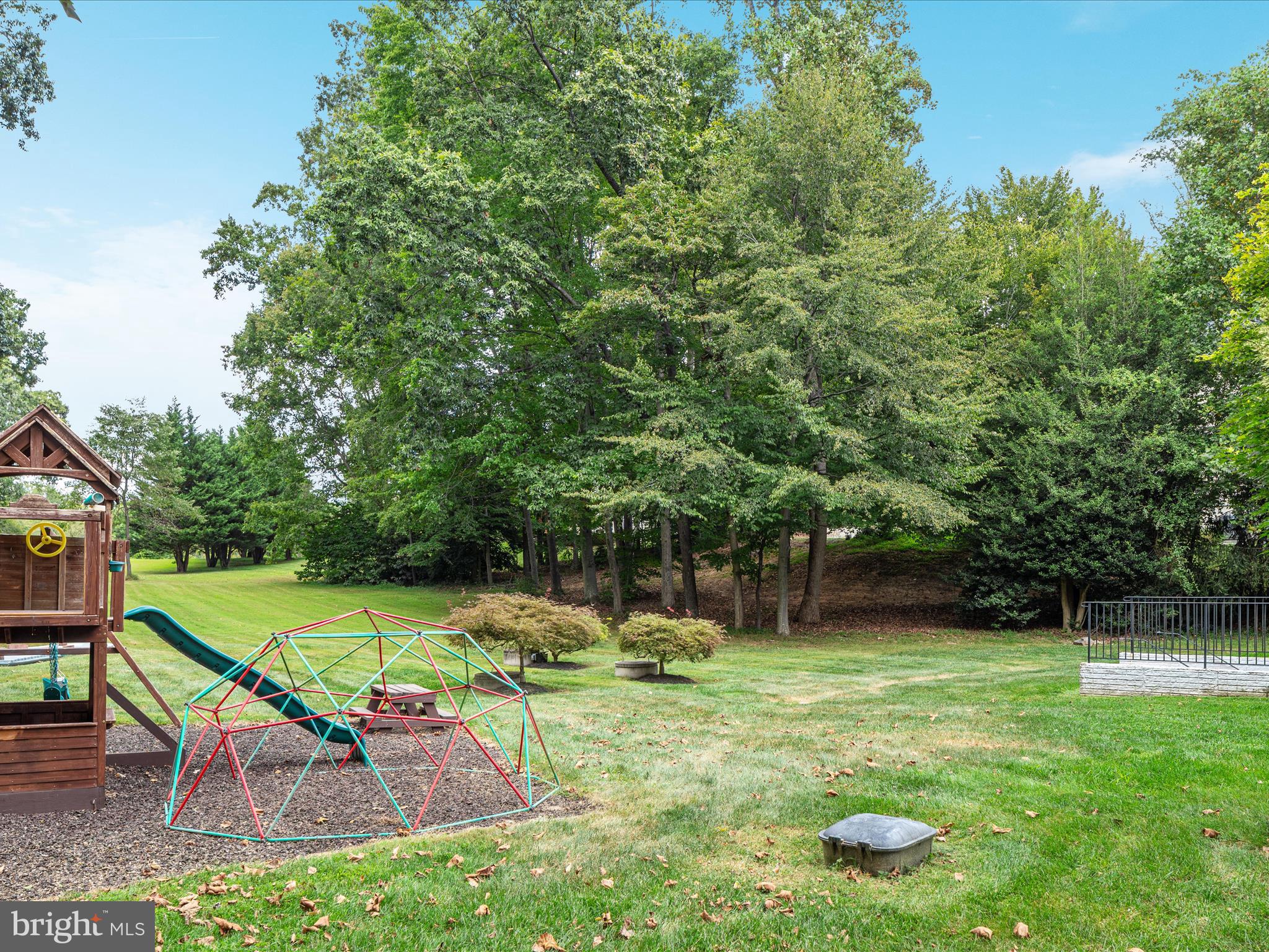 10117 CARLINGTON VALLEY COURT